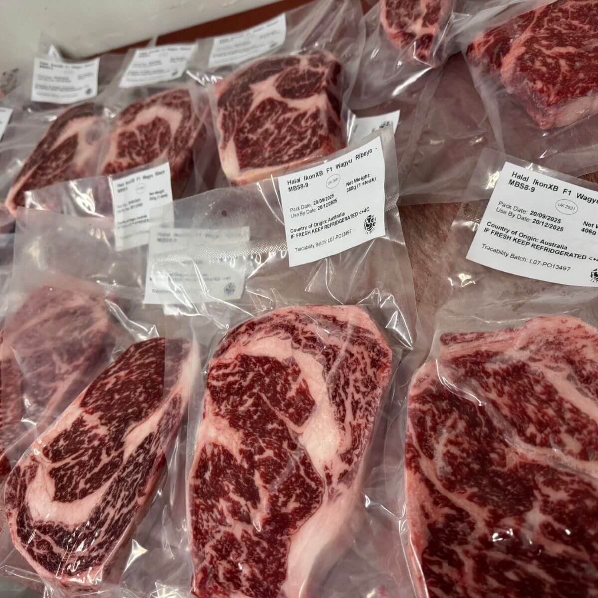 Halal Wagyu Beef Ribeye MBS 8-9