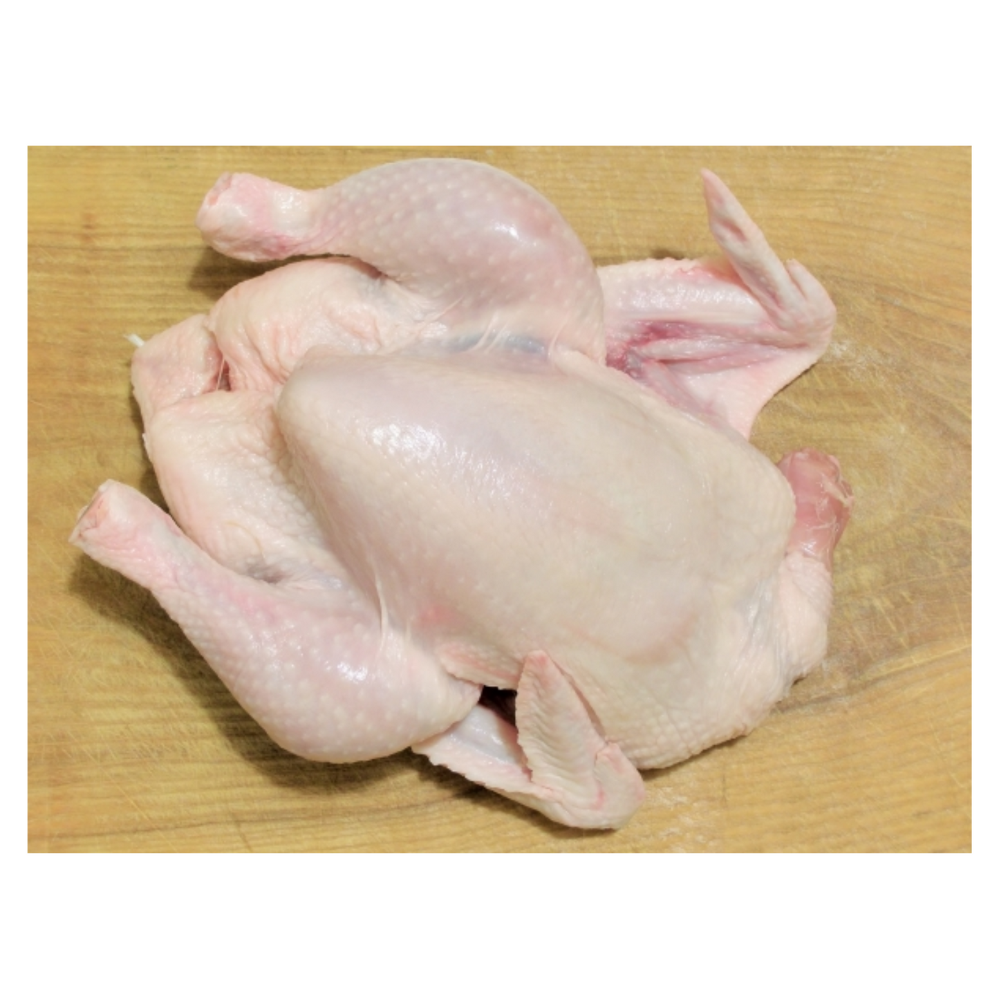 Baby Chicken (Price Per Chicken)