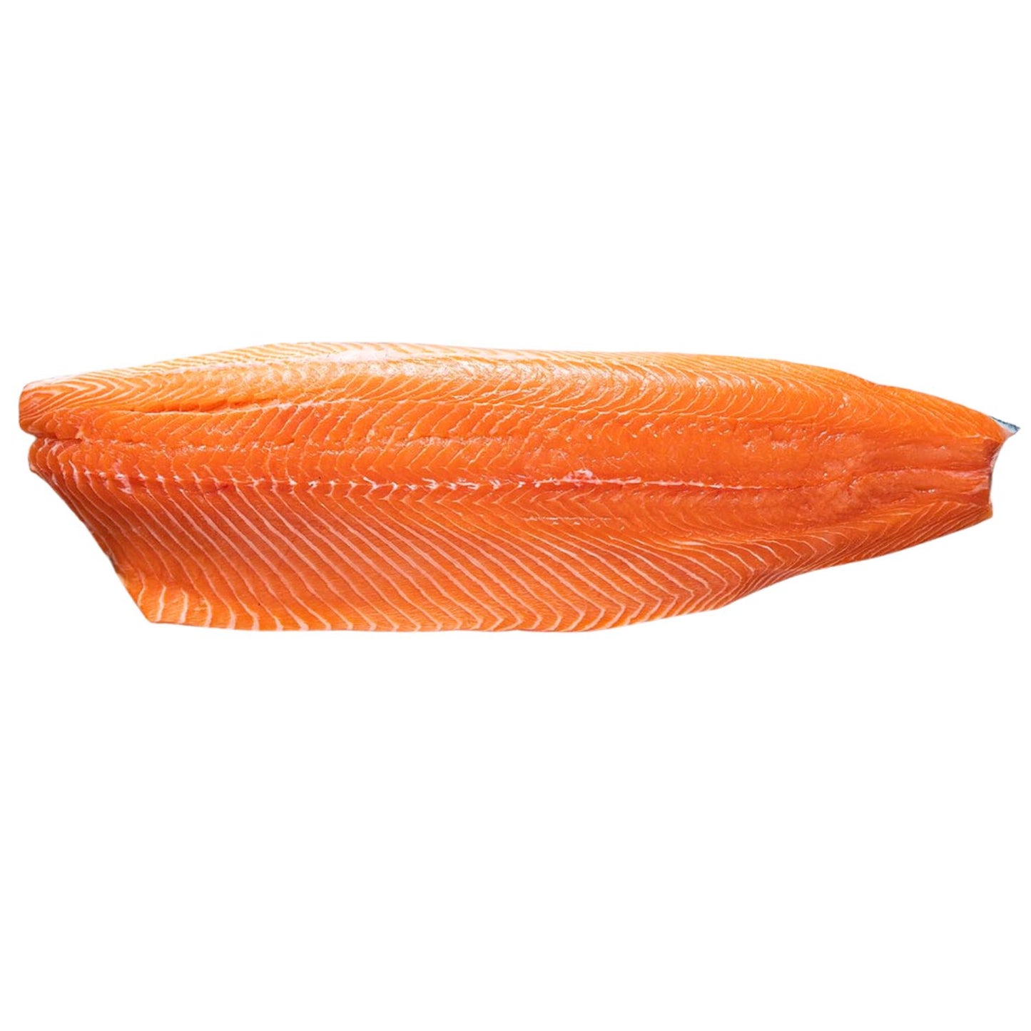 Salmon Fillet Fresh