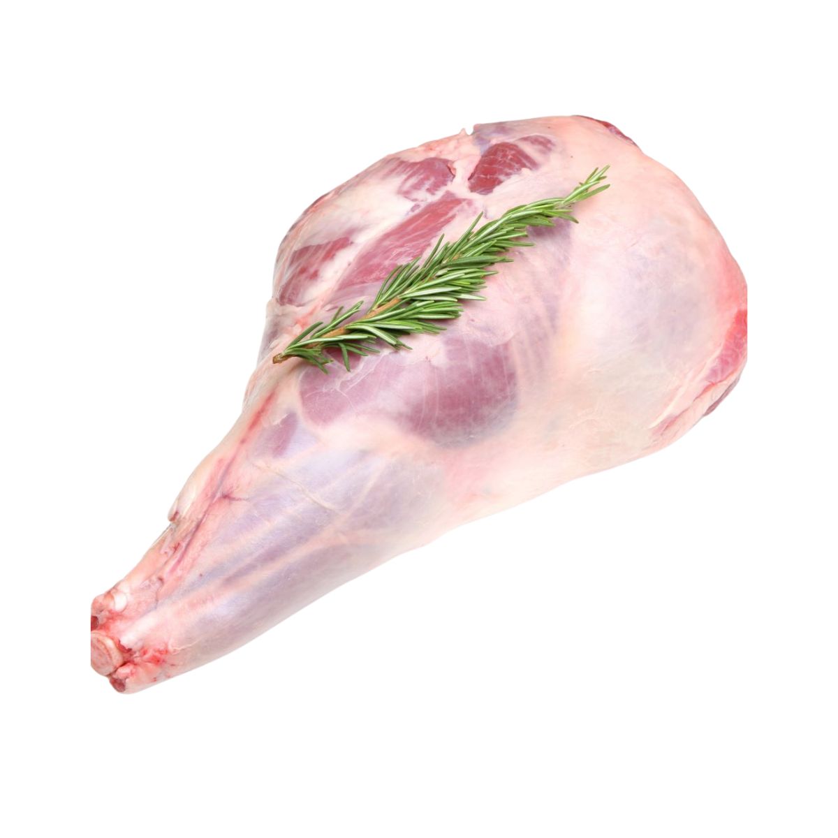 Lamb Leg Short Cut NZ